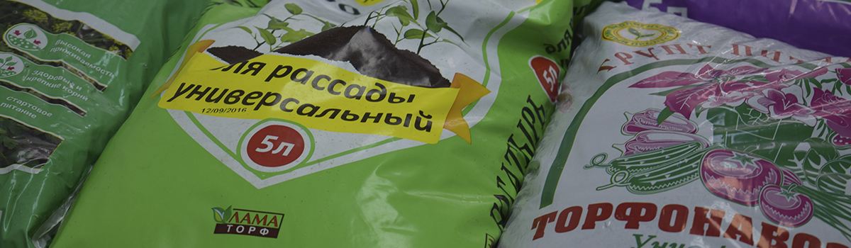 «Красноярский