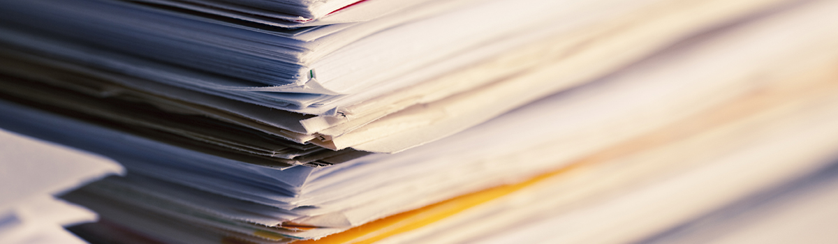 О применении стандартов отечественного ведения бизнеса в компании