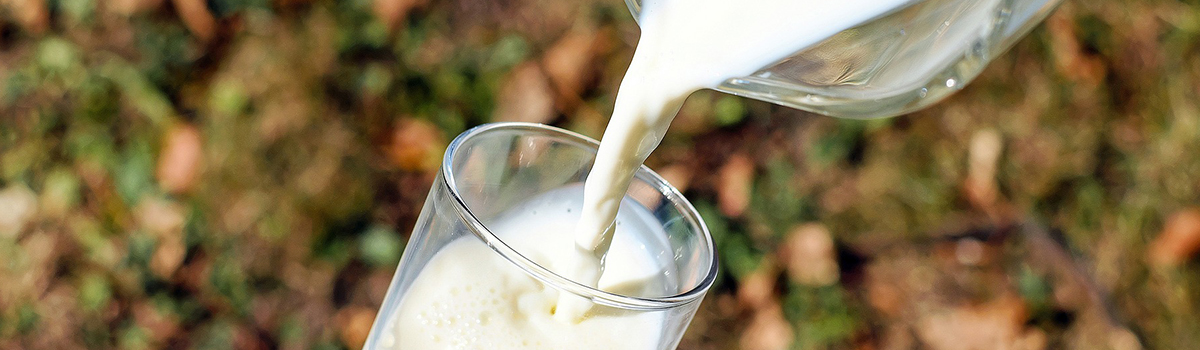 Росстандарт в СФО: лишь 50 % молочной продукции соответствуют требованиям технического регламента»