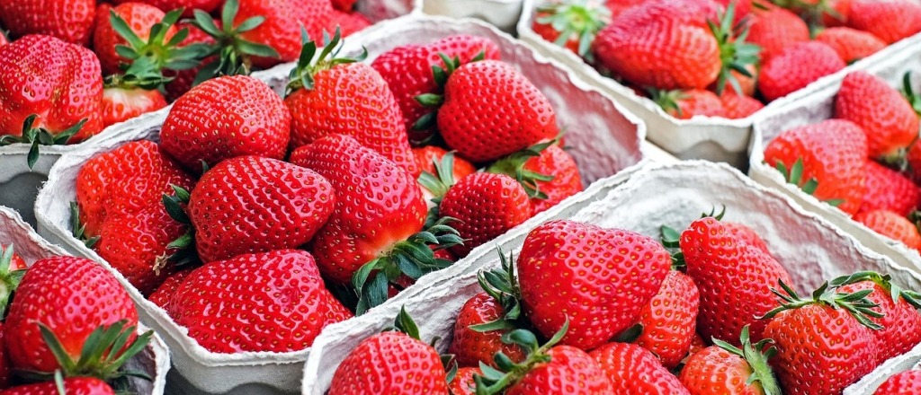 Где и как приобрести безопасную клубнику?